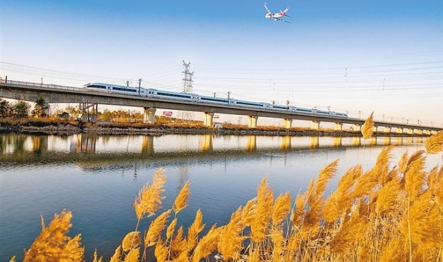 pg模拟器-银球飞舞 家乡嬗变|乒乓球|廊坊日报|校园|球拍|全运会_新浪体育_新浪新闻